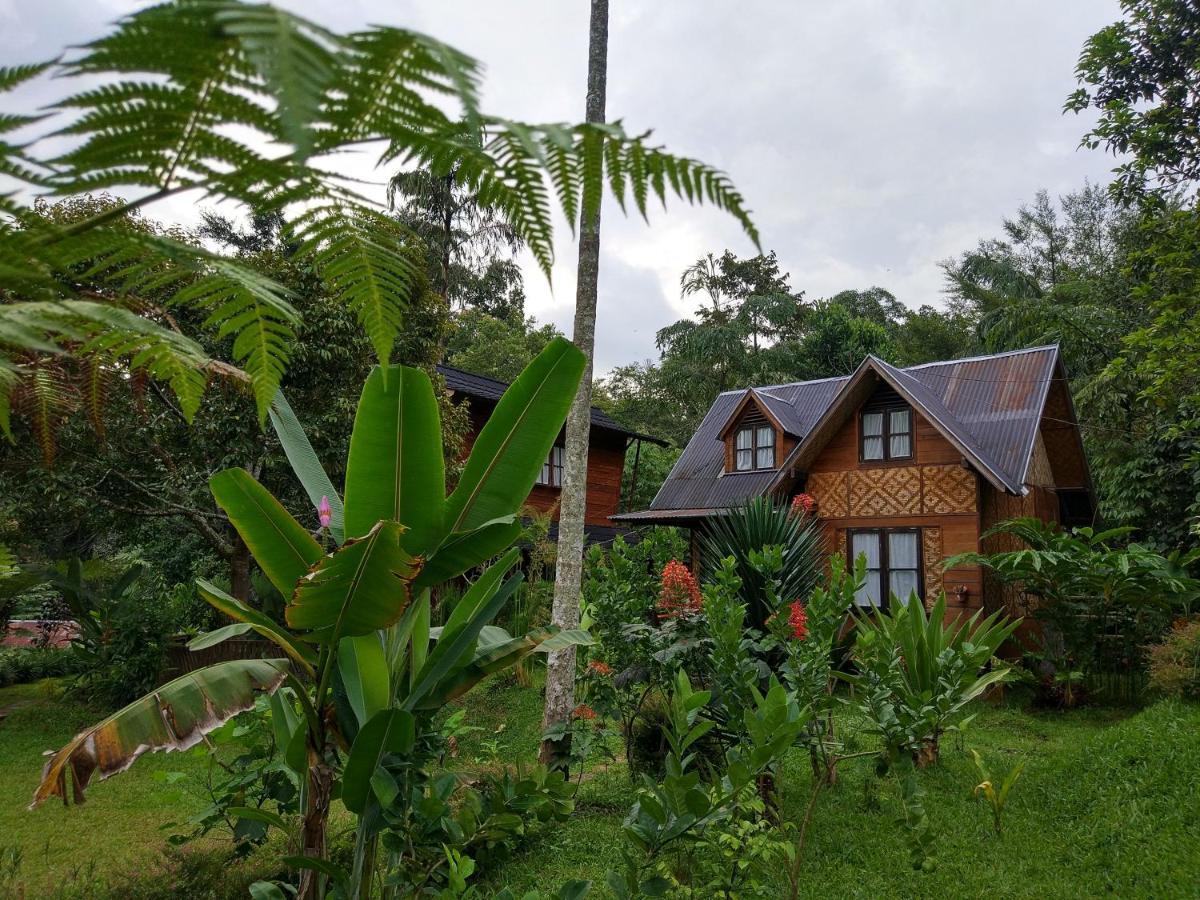 Canyon Jungle Stay Bukittinggi Exterior photo