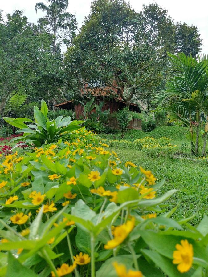Canyon Jungle Stay Bukittinggi Exterior photo