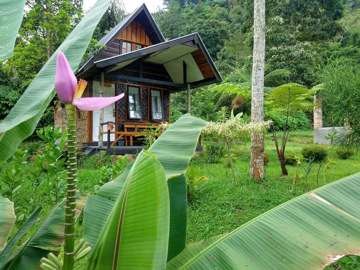 Canyon Jungle Stay Bukittinggi Exterior photo