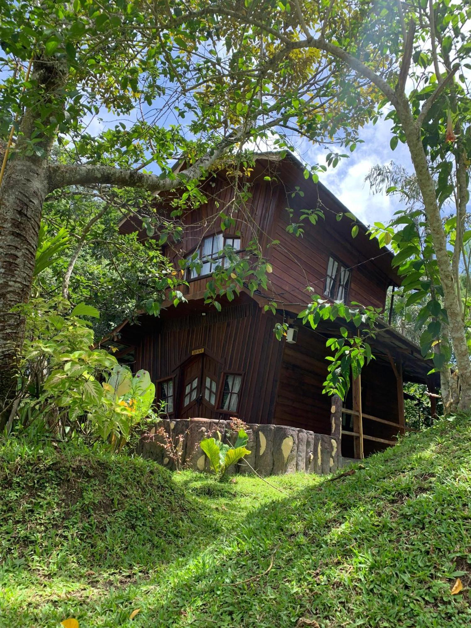 Canyon Jungle Stay Bukittinggi Exterior photo