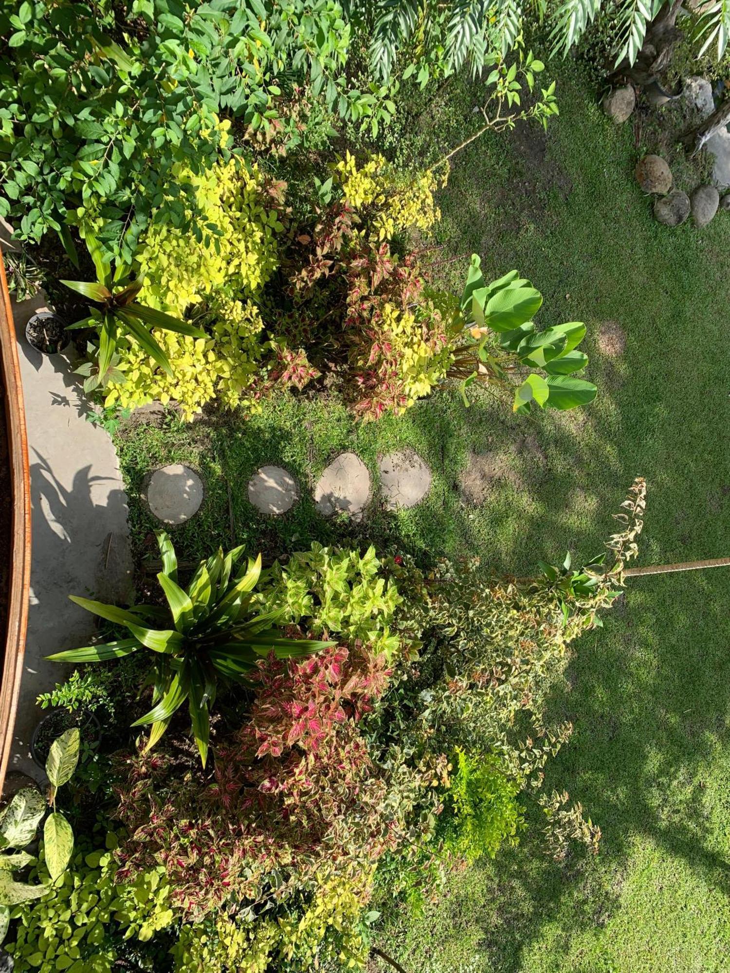 Canyon Jungle Stay Bukittinggi Exterior photo